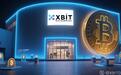半导体关税税率或达300%，最新XBIT揭秘美股价格暴跌的核心逻辑