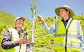 直击南北山绿化工程墨竹工卡县段竣工现场：高原新绿拔节生长