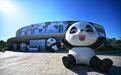2025熊猫家园·大熊猫文化创意大赛来了！新一轮作品征集已开启