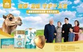 驼奶新标杆！看驼礼福如何打造乳品界的“液体黄金”