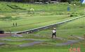 （活力中国调研行）吉林滑雪场换“夏装”掀山地运动热潮