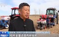 全国粮食生产开局良好 冬小麦将迎来大面积收获