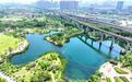 青山城管“加减法”：闲置地变花海，老街巷成网红，安全宜居更暖心