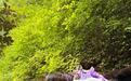 男子徒步梅里雪山环线失联近10天，妻子：家中还有两个年幼的孩子