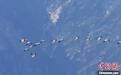 四川天全：成群黑颈鹤结伴过境喇叭河景区
