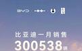 比亚迪官宣！各家汽车巨头跟上