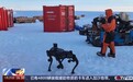 具身智能掀AI新一轮浪潮，强落地企业将成产业链主导