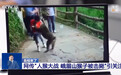 AI合成痕迹明显：“峨眉山猴子被击毙”视频系捏造，造谣者被查处