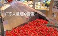 不吃辣椒是广东人最后的倔强？超市：辣椒也没有了
