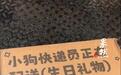 快递盒印“小狗快递员”让人不适，是快递员“过于敏感”吗？