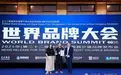 装修选砖为何首选鹰牌陶瓷？超337亿品牌价值背后的秘密大揭晓