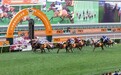 富卫香港连续七年冠名赞助国际马坛盛事“富卫保险冠军赛马日”