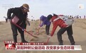 数万人次申请到民勤来种树！春天，共赴一场“沙漠之约”