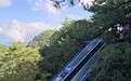 微改造、精提升：浙江神仙居的“破圈”密码