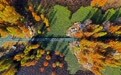 立冬将至 秋韵未央(16)#