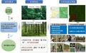 全球最大 东北林业大学建成国际领先森林生物多样性与生态系统功能监测平台