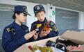 第32届比利时布鲁塞尔国际葡萄酒大奖赛首批参赛酒抵达宁夏