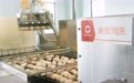 湖南冷水滩：科技赋能蛋鸡产业发展(5)