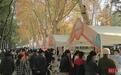 大雪节气，这场“养生局”人气旺！中医教你冬季养生妙招