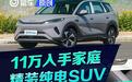 11万入手家庭精装纯电SUV 海狮05EV怎么选？