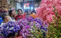 直播电商助力云南“鲜花经济”持续火热