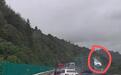 小轿车被卡车撞下高速公路，多方回应：路段封锁管控，伤者已送医
