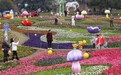 宜宾叙州：百万花卉绽成花海彩山春日油画醉游人