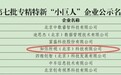 荣获两项国家级认定，如视持续引领数字空间领域发展