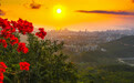 海南三亚：夕阳美景入画来
