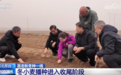 良机良种良技为冬小麦播种“保驾护航” 助力绘就夏粮生产好“丰”光