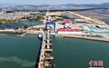 漳汕高铁全线进入跨海大桥架梁施工阶段