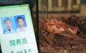 青海西宁：“无废细胞”释放逐绿能量