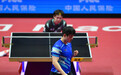 王楚钦回应头撞球台，称无需在意细节，樊振东依旧强大