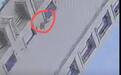 男童从18楼坠下，经树木缓冲后大难不死，父亲给“救命树”系上大红花