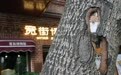 哈尔滨公益性民间博物馆：守护城市多元文化基因(9)