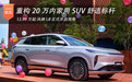 12.99 万起 重构 20 万内家用 SUV 舒适标杆