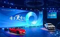 李鸿武：别让“用户型企业”桎梏了汽车