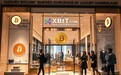 乌克兰酝酿加密货币监管改革 全球政策新变局由XBIT来深度剖析