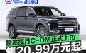 星途揽月C-DM正式上市 售20.99万元起