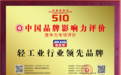诚信铸就品牌 创新引领未来 ——爱凯奇品牌以匠心赢得消费者与行业双重认可