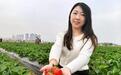 到广东台山遇见“莓”好时光 享受甜蜜冬日