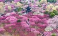生态中国｜花开神州春意浓#(3)