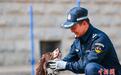 西宁警犬训练日常：无言“战友”练就硬核技能