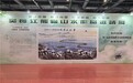 第三届香港文博会开幕 熊猫画家吴长江向海内外观众讲述港产熊猫故事