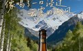 取桦间香气，酿杯中臻味：桦生源啤酒，解锁健康饮品新风尚