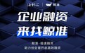 中小企业指数全面上升，利好环境与创新服务共筑成长路径