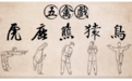 春日养生 五禽戏帮你“唤醒身体”
