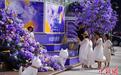 昆明商场打造蓝花楹花海引民众打卡