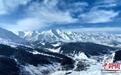 祁连山腹地普降瑞雪 岩羊山间“踏春”觅食