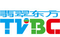 TVBC四大业务全面开花